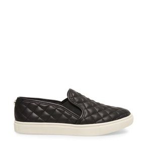 Steve Madden Ecentrcq Black slip on shoes